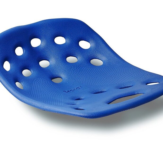 BackJoy Posture Plus – Blue